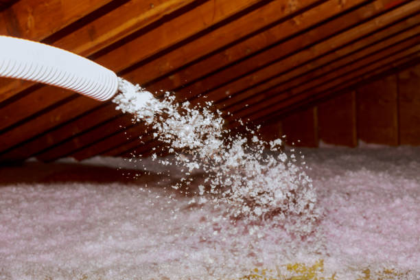 Best Garage Insulation Installation  in Worland, WY