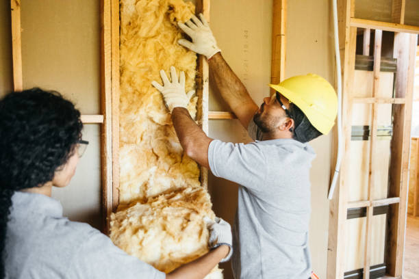 Best Soundproof Insulation Installation  in Worland, WY
