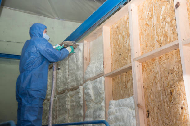 Insulation Inspection Services in Worland, WY